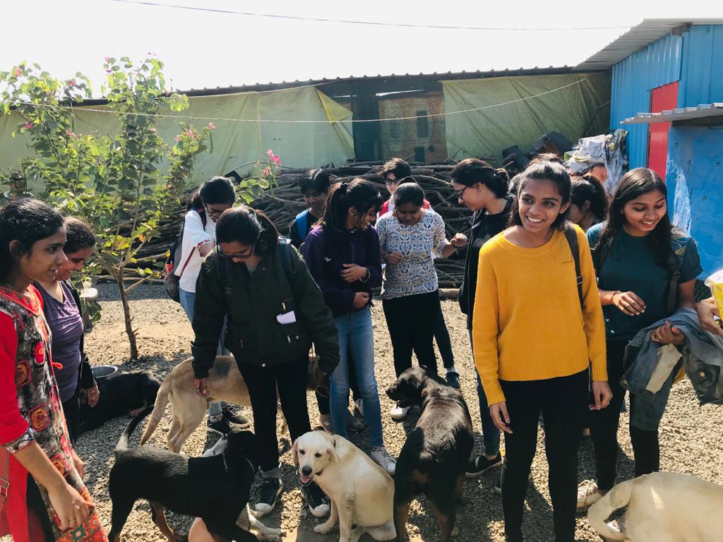 Students thrill at visiting the shelter