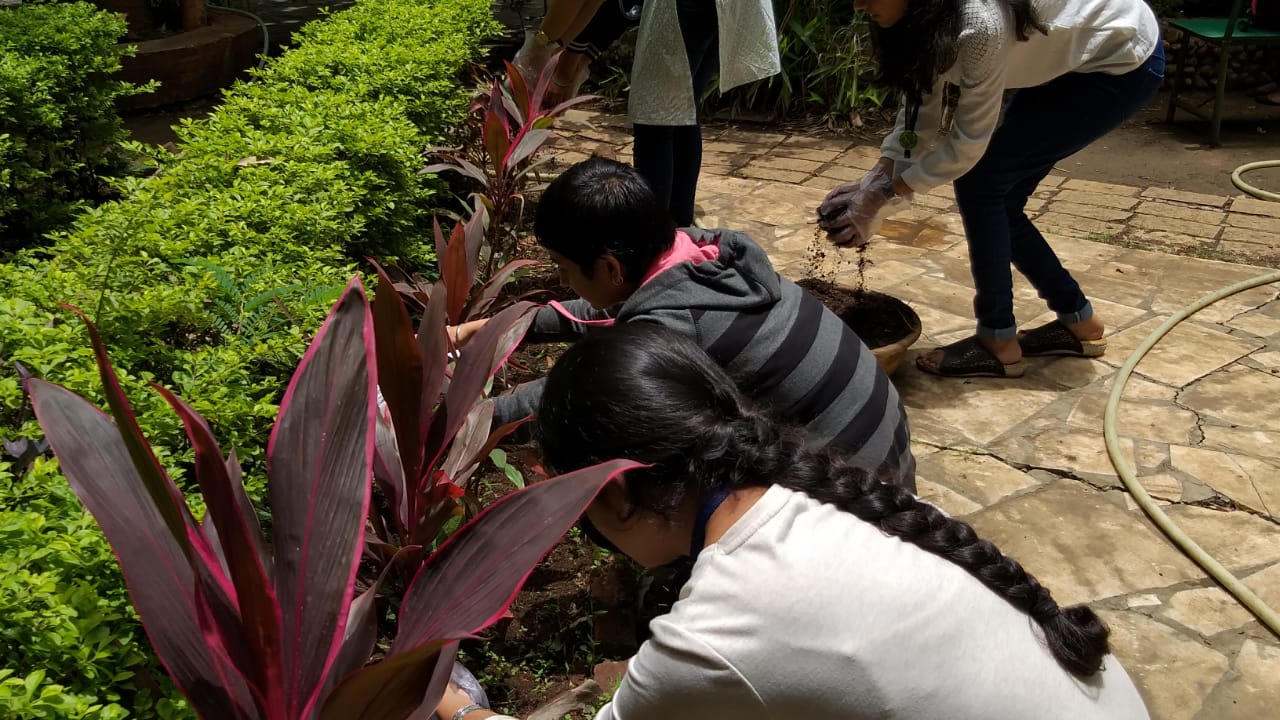 Green Guardians manuring flowerbeds in the college gardens