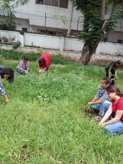 Swacchata Pakhwada - Green Club members weeding